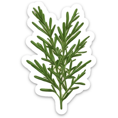 Rosemary  sticker