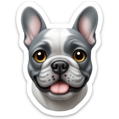 The French bulldog is completely grey with blue eyes sticker