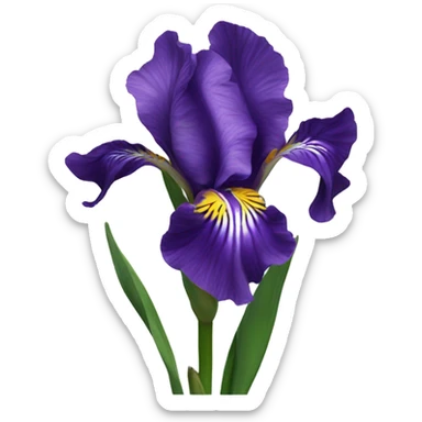 Iris flower sticker