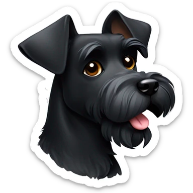 Black schnauzer with one ear up and the other one down sticker