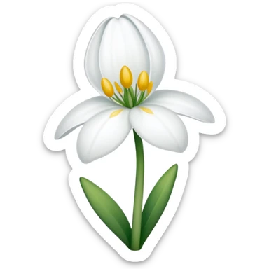 snowdrop flower with sun sticker