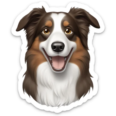 Bordercollie mit braunen und grauen stellen im weißen Gesicht. Spitze Ohren Ohren weis gesicht unterer Teil braun grau  sticker