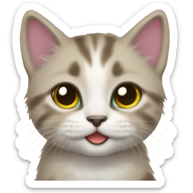 Kitten rainbow sticker