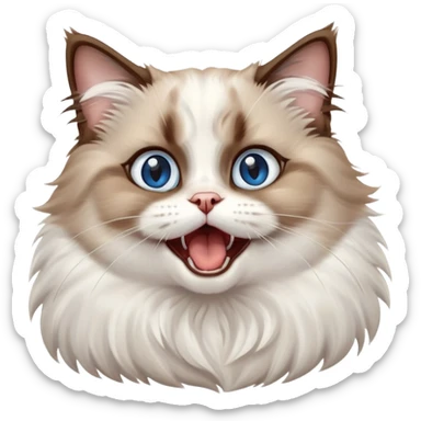cinematic-adorable-big-eyed-fluffy-brown and white ragdoll-cat-portrait-emoji,-head-tilted-playfully-with-a-cute,-yawn,-soft-brown-and white-colored-fur-with-darker-points-on-the-ears,-simplified-yet-irresistibly-cute-features, sparkling blue eyes sticker