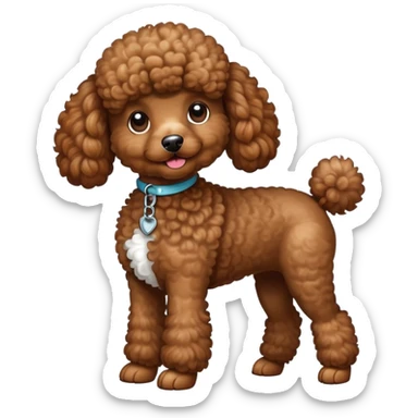 Brown poodle with white tummy sticker