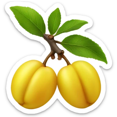 yellow plum isolated sticker