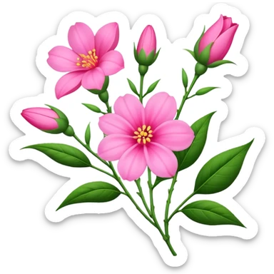big bouquet pink Balsamina flower stem, leaf sticker