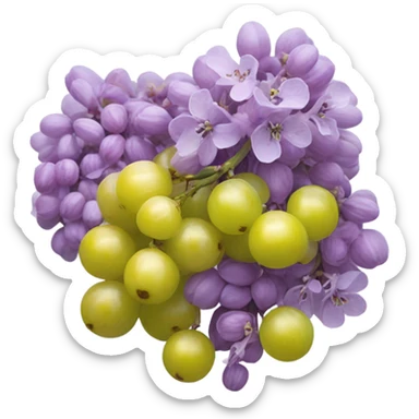 lilac and gooseberry sticker