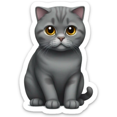 dark gray Scottish fold cat sitting sticker