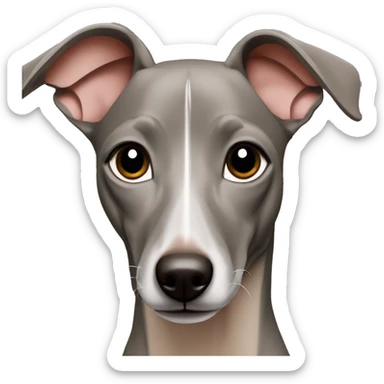 solid blue fawn italian greyhound sticker
