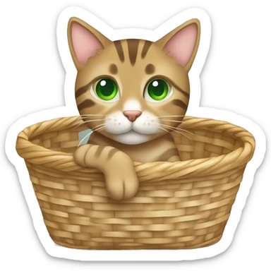 Light brown tabby cat with green eyes sitting in a basket sticker