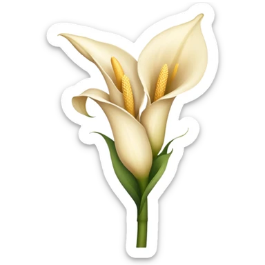 Beige Calla plant sticker