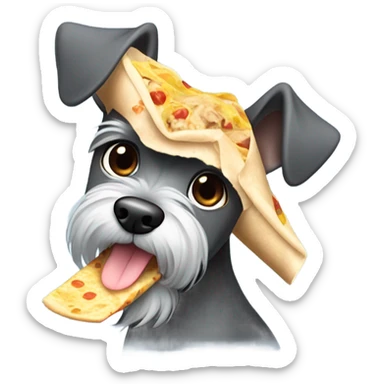 miniature schnauzer eating burrito  sticker