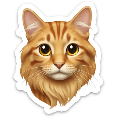 Beige orange long hair tabby sticker