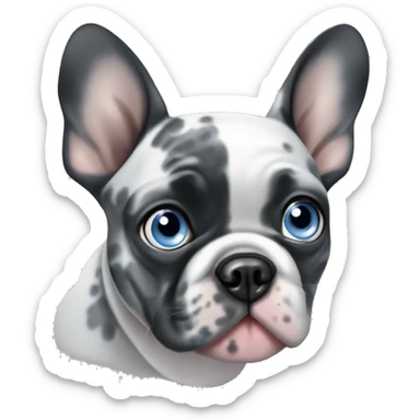 Black and Grey merle french bulldog blue eye sticker