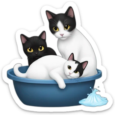 A white cat washing a black cat sticker