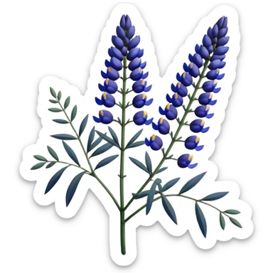 Realistic Still life detailed, dark blue Lupine Lupinus blossom sticker