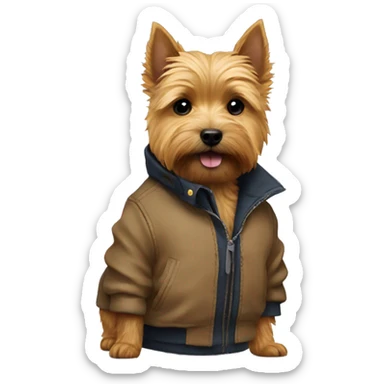 Norwich Terrier in a jacket sticker