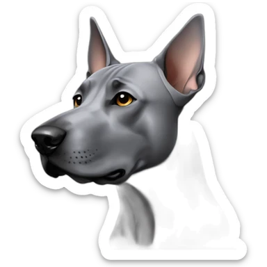 Dog gray Thai Ridgeback sticker
