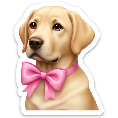 labrador with pink bow sticker