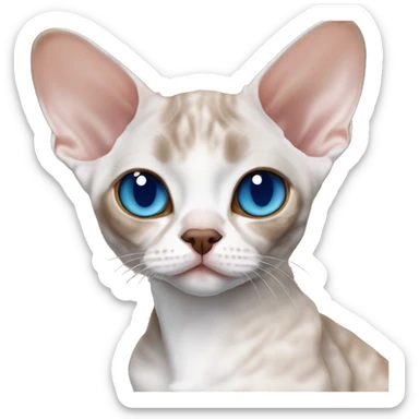 Chocolate Devon Rex and grey Devon Rex with blue eyes sticker