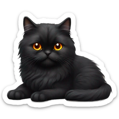 black Persian cat with bright orange eyes and a M tag as her name tag  sticker