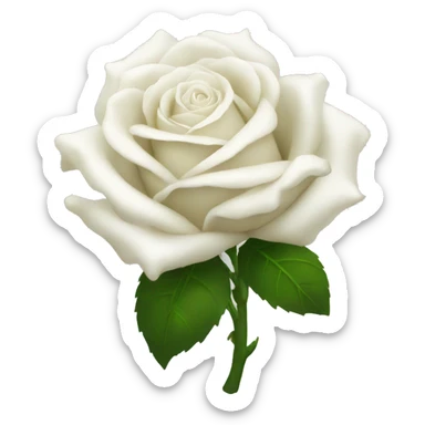 A bunch White roses sticker