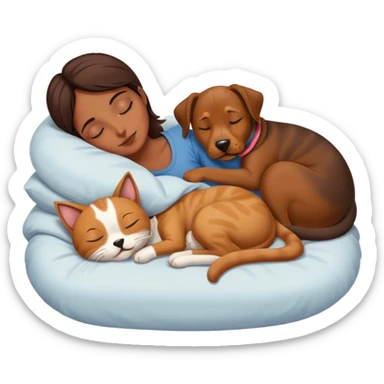 Cat and dog cuddling sleeping  sticker