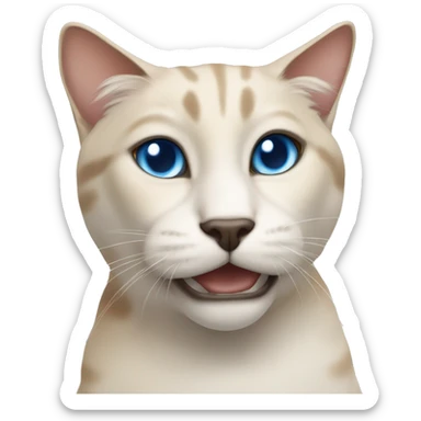 Rex Cornish cat with blue eyes that is beige but has a a darker nose with white spot on the nose sticker