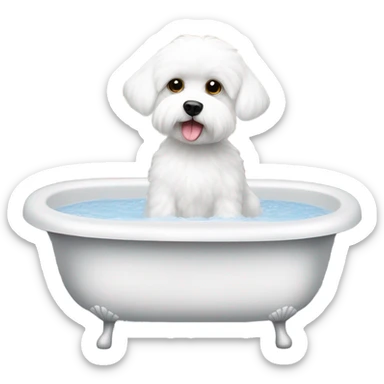 Maltese bichon in the bathtub sticker