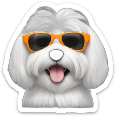 Coton de Tulear oreille orange with sunglasses sticker