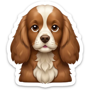 Cocker spaniel  sticker