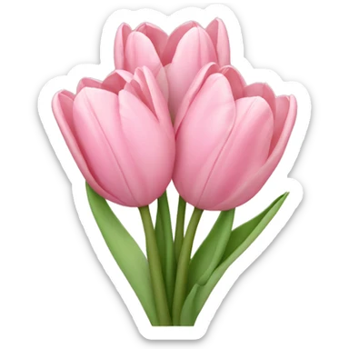 light pink tulip bouquet  sticker