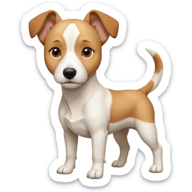 a full body facing front on of a buff white beagle cross jack russell terrier looking dog the size of a kelpie with light brown long ears resting on its face and a light brown patch above one eye and a large snout. the rest of the dog is completely white.  sticker