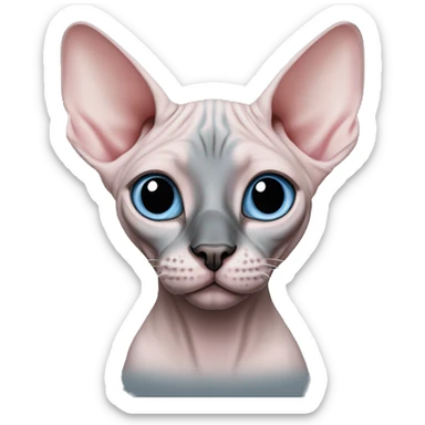 Pink grey canadian sphynx cat with blue eyes and black nose  sticker