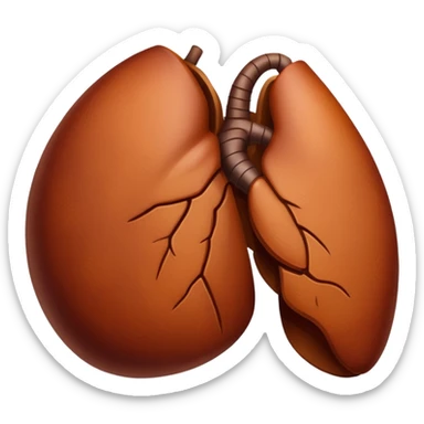 Liver original image sticker