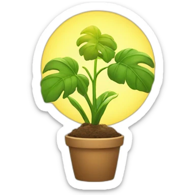 plant and sunlight sticker