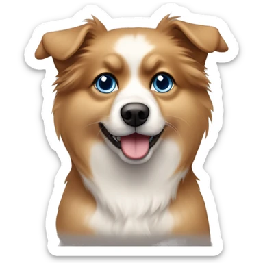 Zwergspitz dog with heterocromia blue and brown eyes, color of fur light brown and white sticker