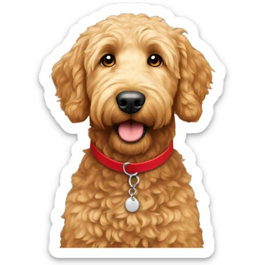Golden doodle with white spot on forehead with red collar  sticker