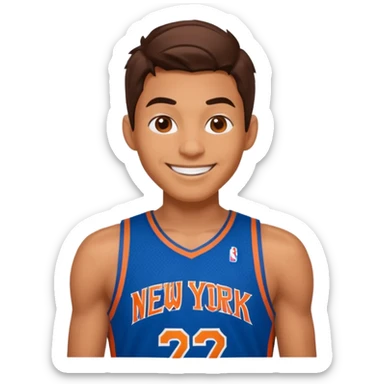 Spiderman new york knicks sticker
