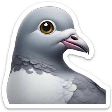 pigeon with a smile sticker