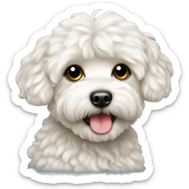 Maltipoo dog sticker