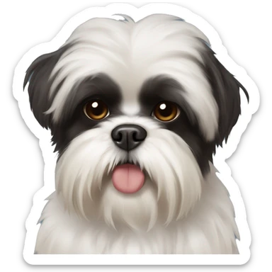 Black shih tzu mix with huge brown eyes and white fur on chest sticker
