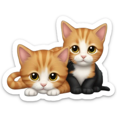 ginger kitten and black kitten cuddling  sticker