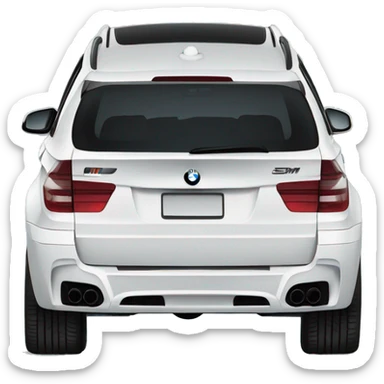 2010 BMW X5M Blue sticker