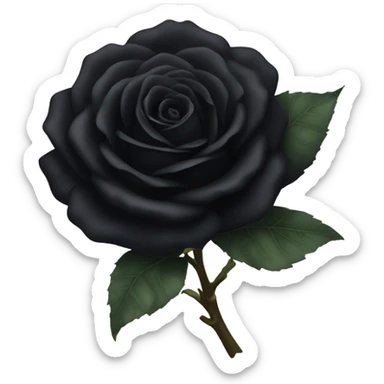 Black rose sticker