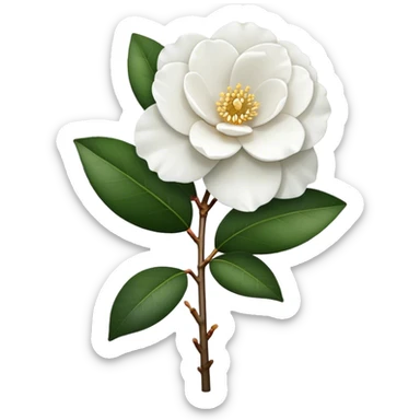 single Camelia japonica, straight stem sticker