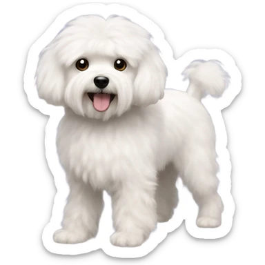 Maltese poodle sticker