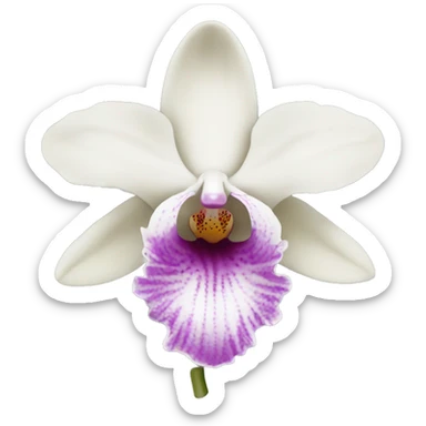 Pale colour orchid sticker