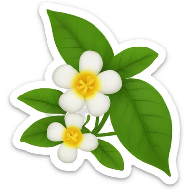jasmins flowers with leafs sticker